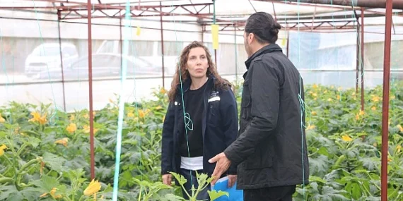 Büyükşehir’den hortum ve fırtınadan zarar gören üreticiye sera naylonu desteği