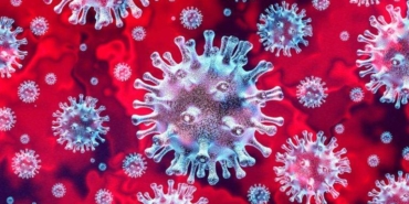 virus