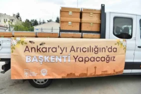 ankara-buyuksehir-den-aricilara-kovan-destegi-1779511713-941_large
