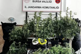 bursa-da-kilolarca-esrar-ve-skunk-ele-gecirildi-1777790123-711_large