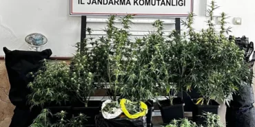 bursa-da-kilolarca-esrar-ve-skunk-ele-gecirildi-1777790123-711_large