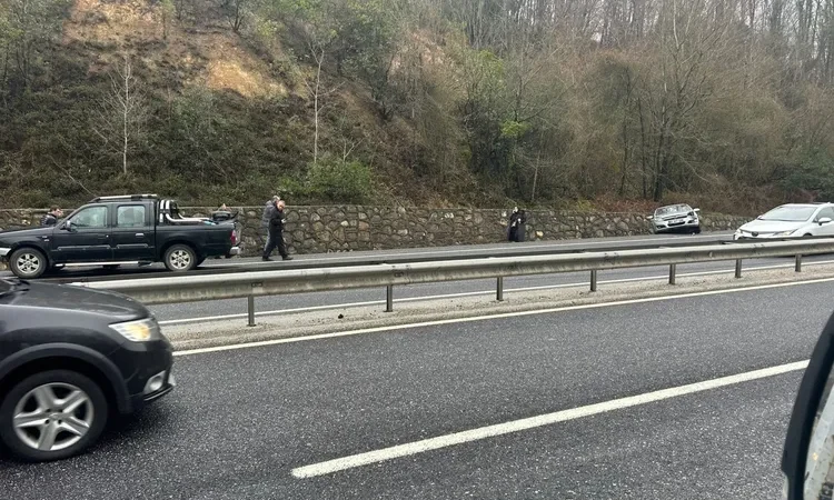 duzce-akcakoca-da-zincirleme-trafik-kazasi-1774159221-175_large