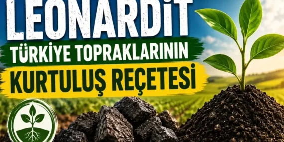 Türkiye tarımında yeni umut… Leonardit ile toprağın hafızası canlanıyor